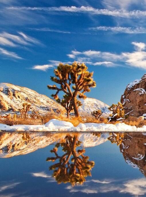 Azteca: Desert Sanctuary In The Paradise Of Palm Springs Villa Bagian luar foto